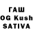 Псилоцибиновые грибы GOLDEN TEACHER Check East