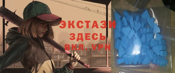 прущие грибы Аркадак