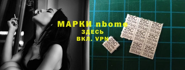 прущие грибы Аркадак