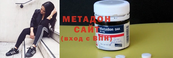 прущие грибы Аркадак