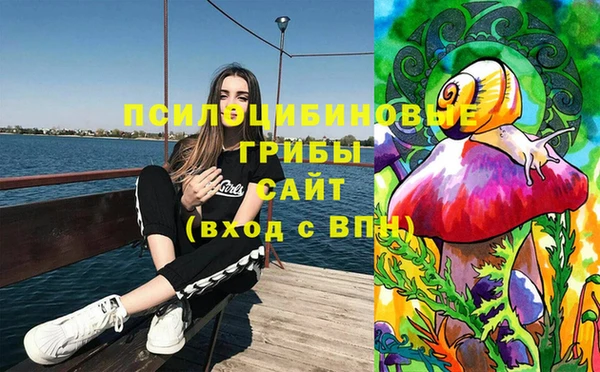 тгк Армянск